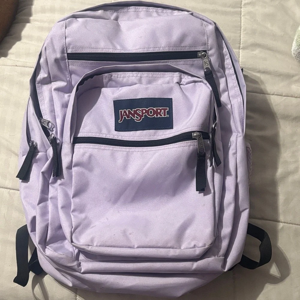JanSport Light Purple Backpack